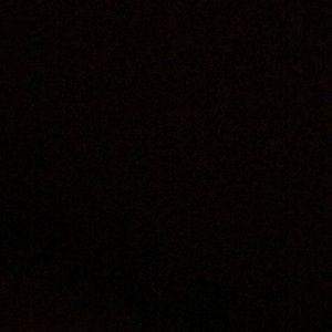 Meet your Posher, Cody